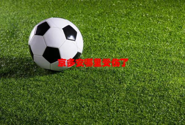 京多安哪里受伤了，fifa online3 京多安 和 克罗斯 哪个打前腰好？