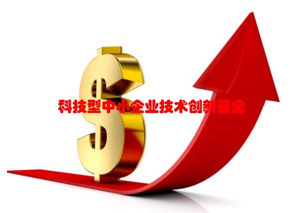 科技型中小企业技术创新基金