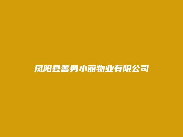 凤阳县善勇小丽物业有限公司