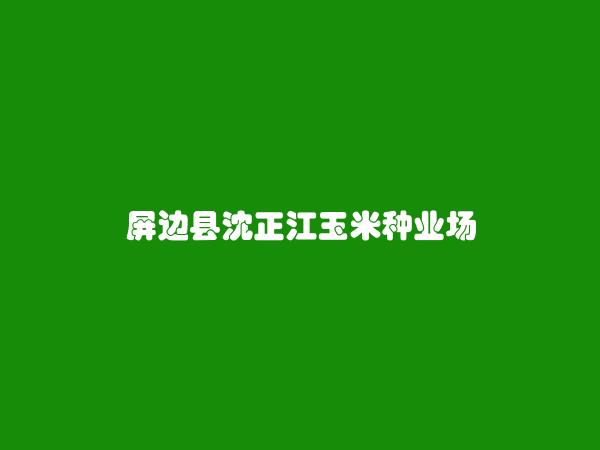 屏边县沈正江玉米种业场