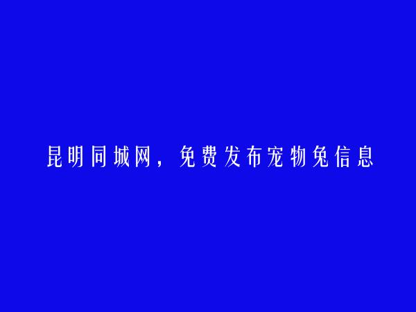 禄劝宠物兔信息大全 https://www.kmtcw.com/chongwutu/areaid-14/