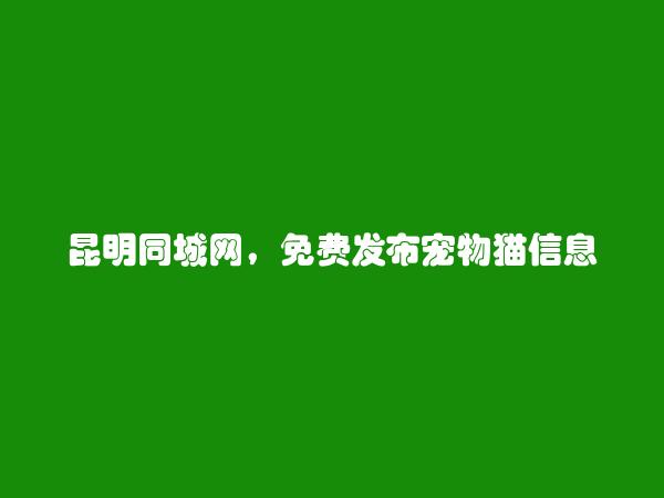 禄劝免费发布宠物猫信息的网站有哪些?