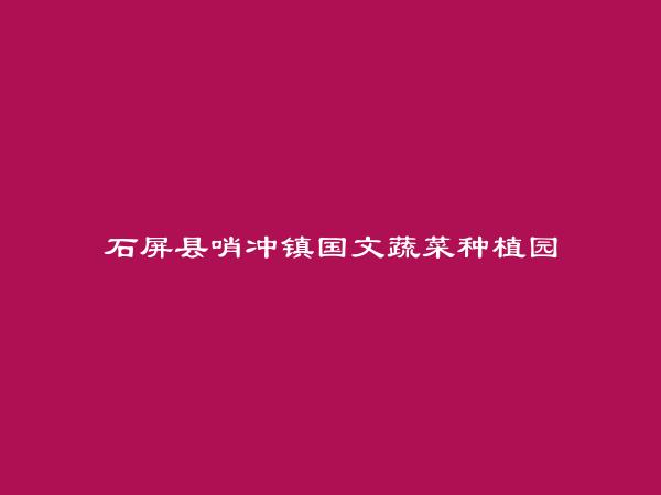 石屏县哨冲镇国文蔬菜种植园