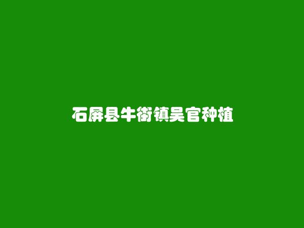 石屏县牛街镇吴官种植