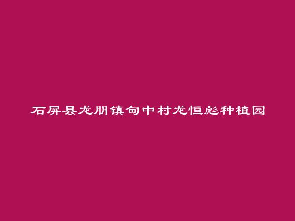 石屏县龙朋镇甸中村龙恒彪种植园