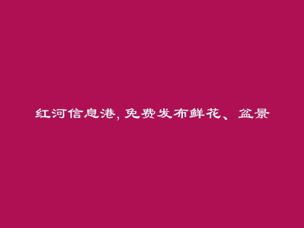 红河信息港APP-免费发布泸西鲜花、盆景信息