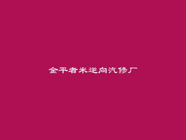 金平者米逆向汽修厂